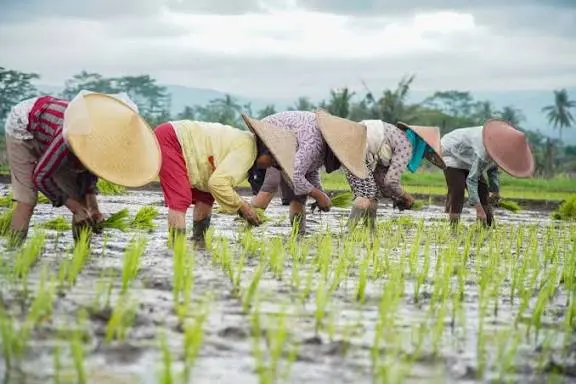 WhatsApp Image 2025-10-16 at 19.48.11