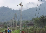Gerak Cepat Petugas PLN UP3 Jember Normalkan Kelistrikan Korban Erupsi Gunung Semeru