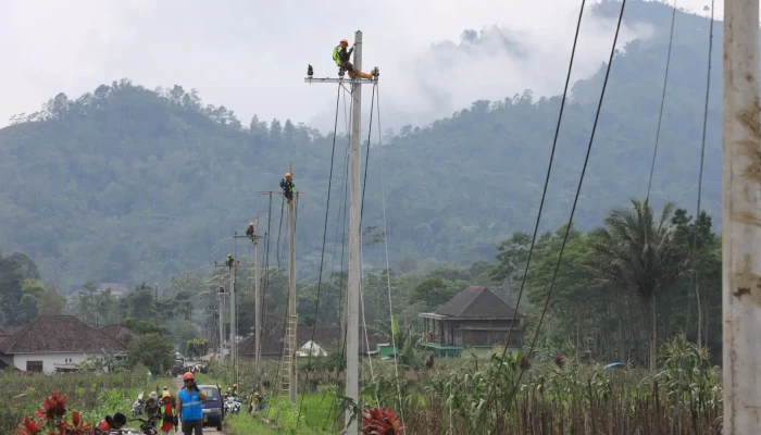 Gerak Cepat Petugas PLN UP3 Jember Normalkan Kelistrikan Korban Erupsi Gunung Semeru