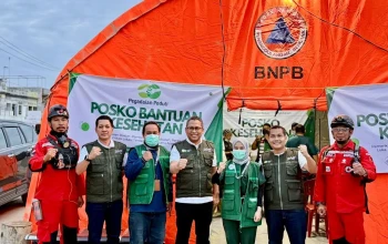 WhatsApp Image 2025-12-12 at 20.02.48