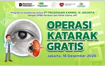 WhatsApp Image 2025-12-19 at 15.42.58