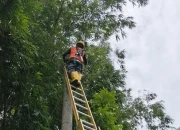 Tak Hanya Pulihkan Listrik, PLN Jember Juga Hadirkan Bantuan untuk Warga