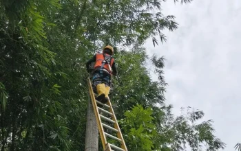 Tak Hanya Pulihkan Listrik, PLN Jember Juga Hadirkan Bantuan untuk Warga