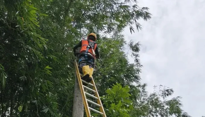 Tak Hanya Pulihkan Listrik, PLN Jember Juga Hadirkan Bantuan untuk Warga