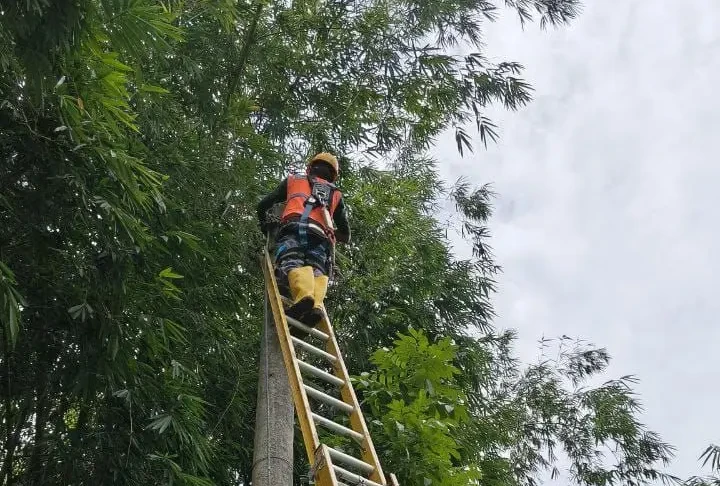 WhatsApp Image 2026-02-13 at 23.00.42 (1)