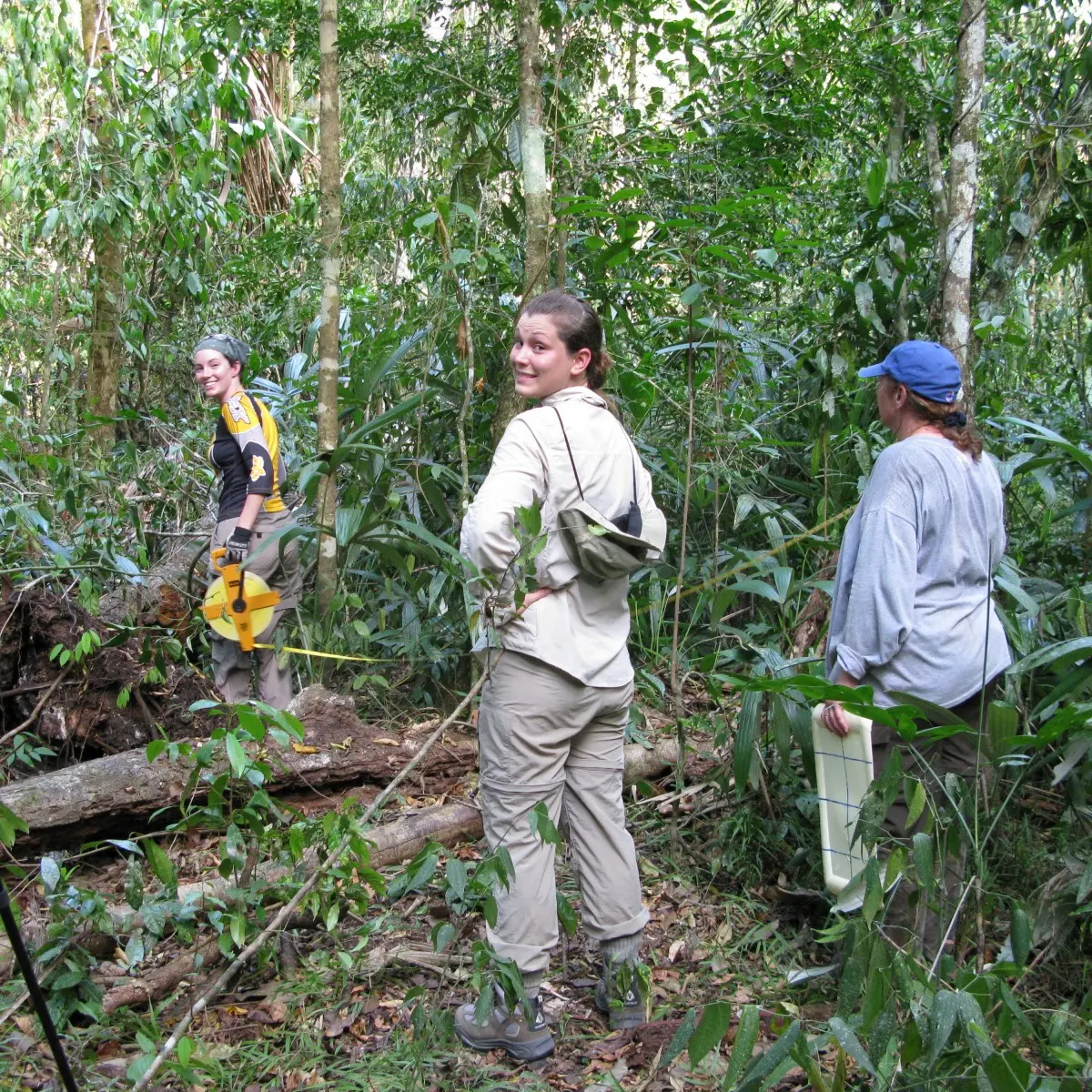 WhatsApp Image 2026-03-11 at 12.03.32