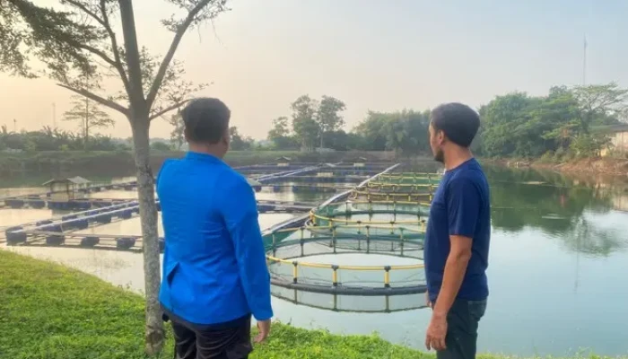 Inovasi Mahasiswa Unpam: Sistem Deteksi Kualitas Air Berbasis Web dan Machine Learning
